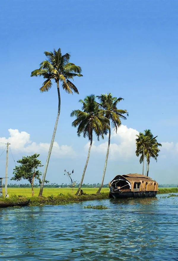 Scenic backwater day tours connecting from Kochi expressway