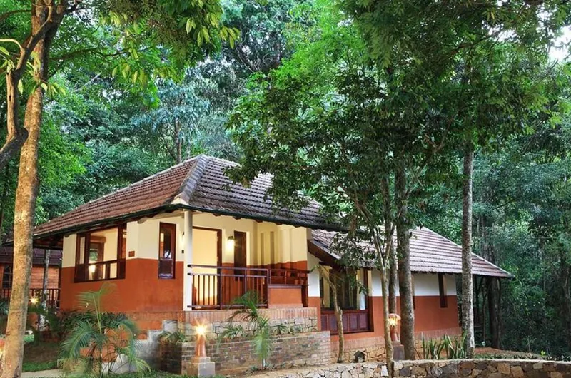 Vythiri Resort stream and hanging bridge