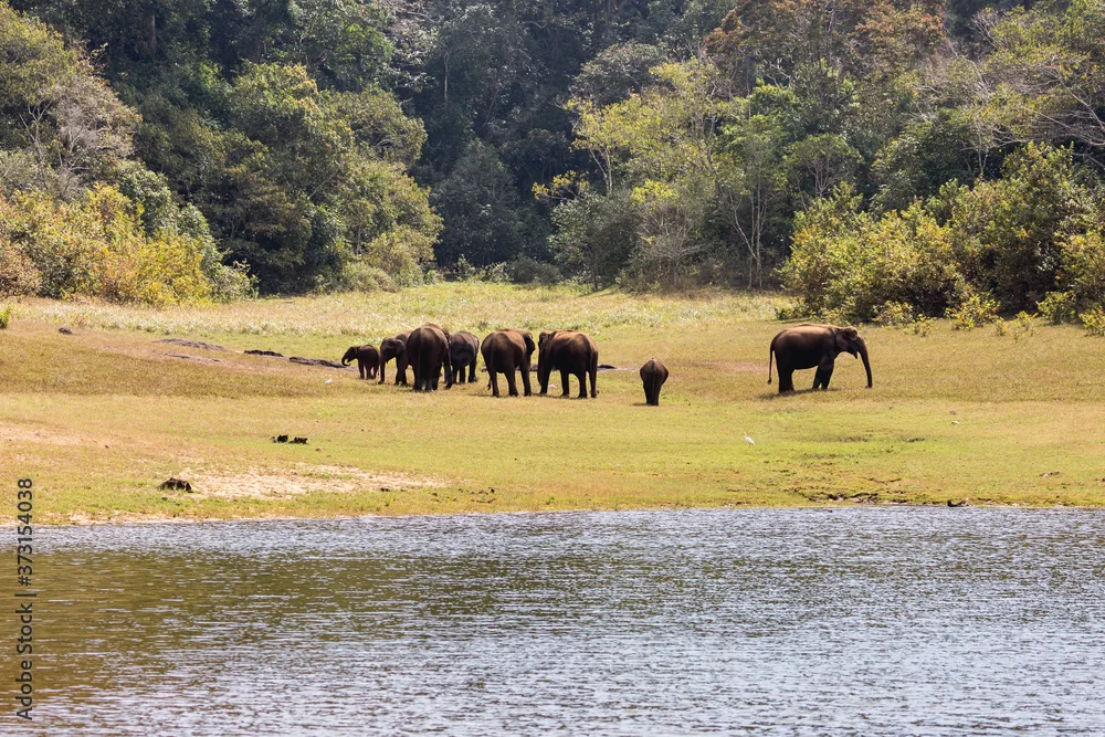 Spice & Wildlife Safaris
