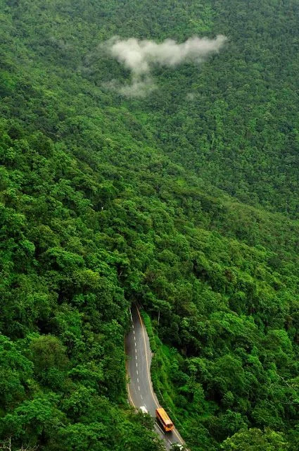 Majestic Waterfalls & Forest Retreats in Athirappilly & Wayanad